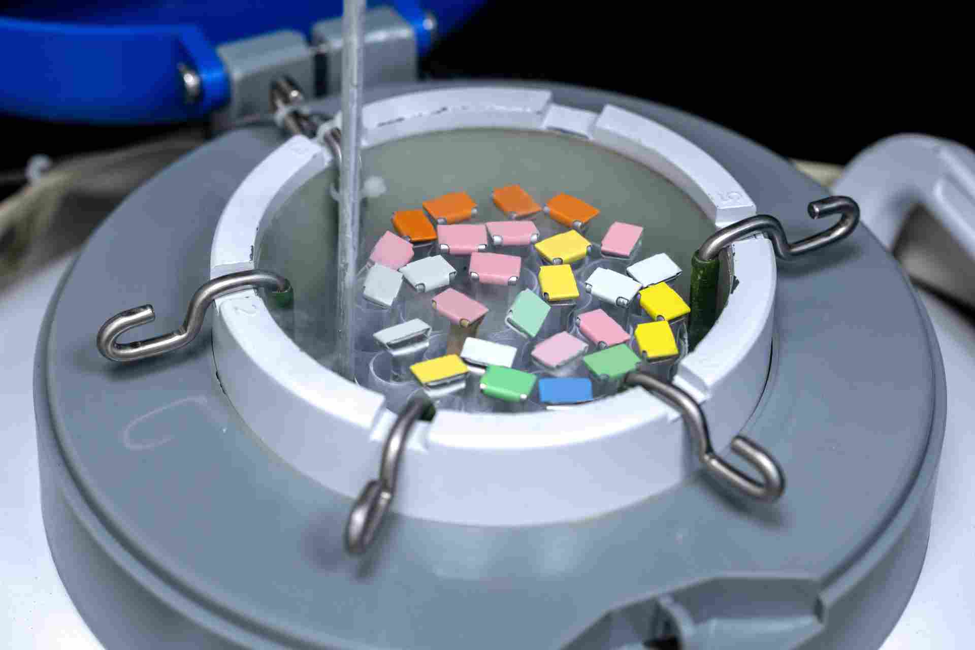How much does it cost to freeze your eggs?